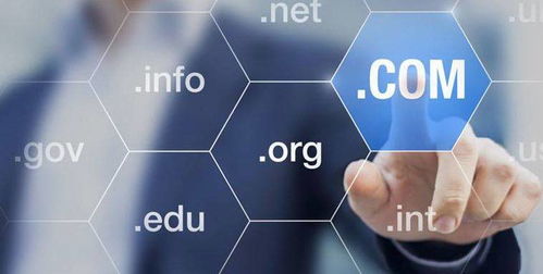 域名常見場景及選購技巧 互聯(lián)網(wǎng)信息服務(wù)指南